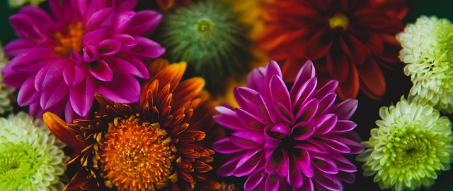 比赛生涯中 比赛生涯中