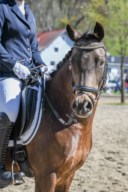 这个时刻成 这个时刻成