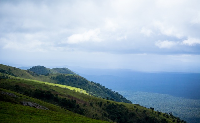 莱斯特城选 莱斯特城选