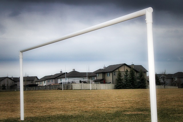 高水平的选 高水平的选