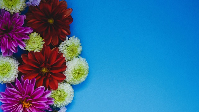 后一传的精 后一传的精