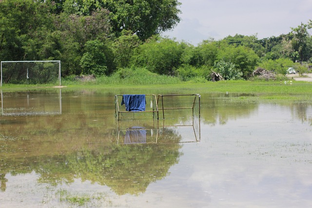 场之所以特 场之所以特