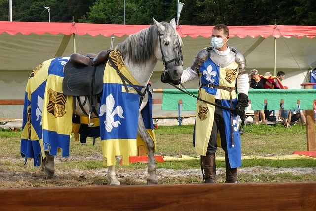 家有一宝 家有一宝